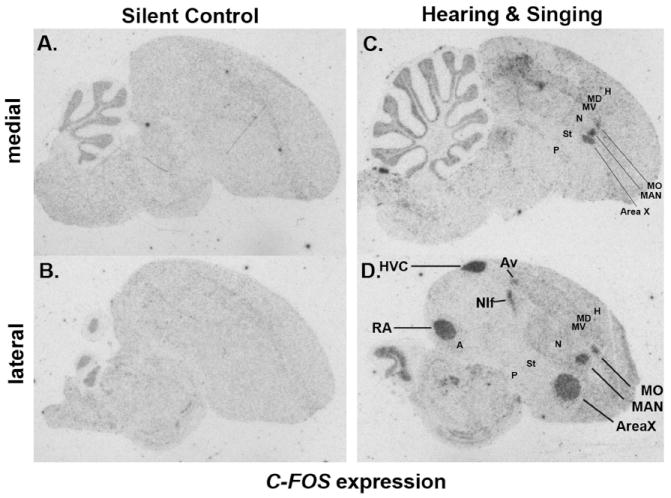 Figure 29