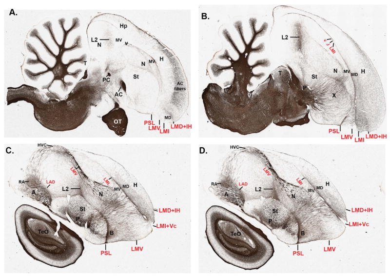 Figure 20