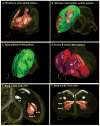 Figure 23