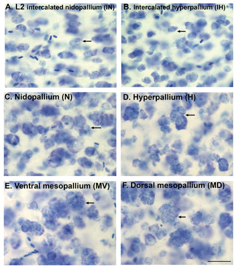 Figure 16