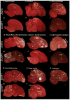 Figure 27