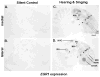 Figure 28