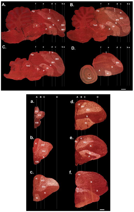 Figure 25