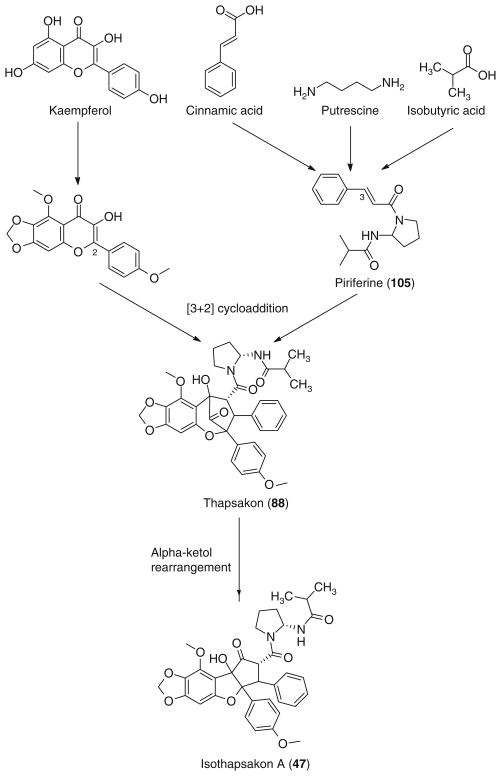 Fig. 10