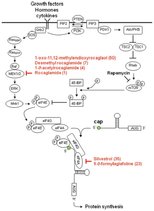 Fig. 12