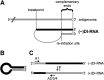 FIG 1