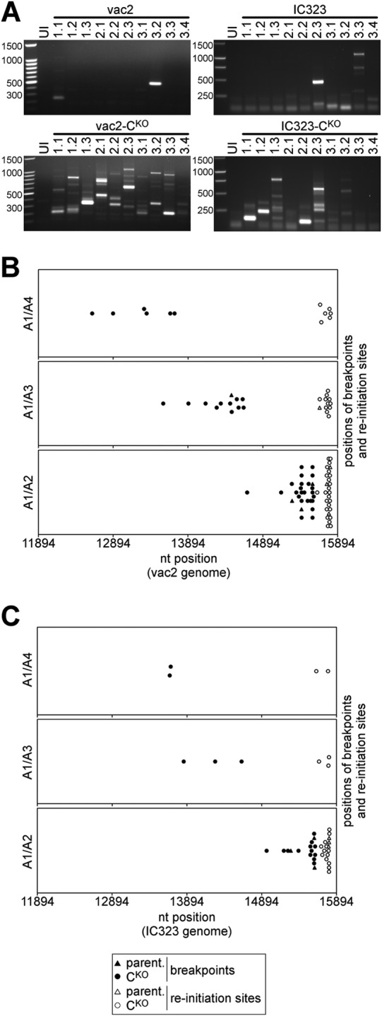 FIG 2