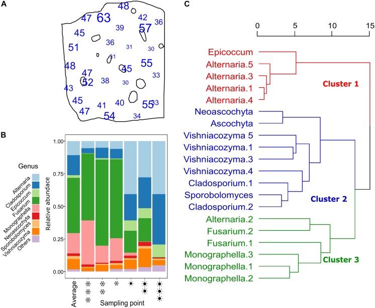 FIGURE 3