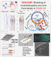 Infographic describing how the vein-chip will model endotheliopathy and
thrombosis in COVID-19