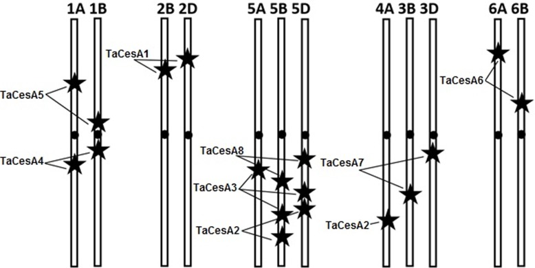 Fig 10