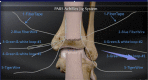 Fig 12