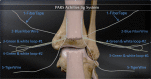 Fig 10