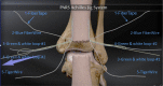 Fig 11