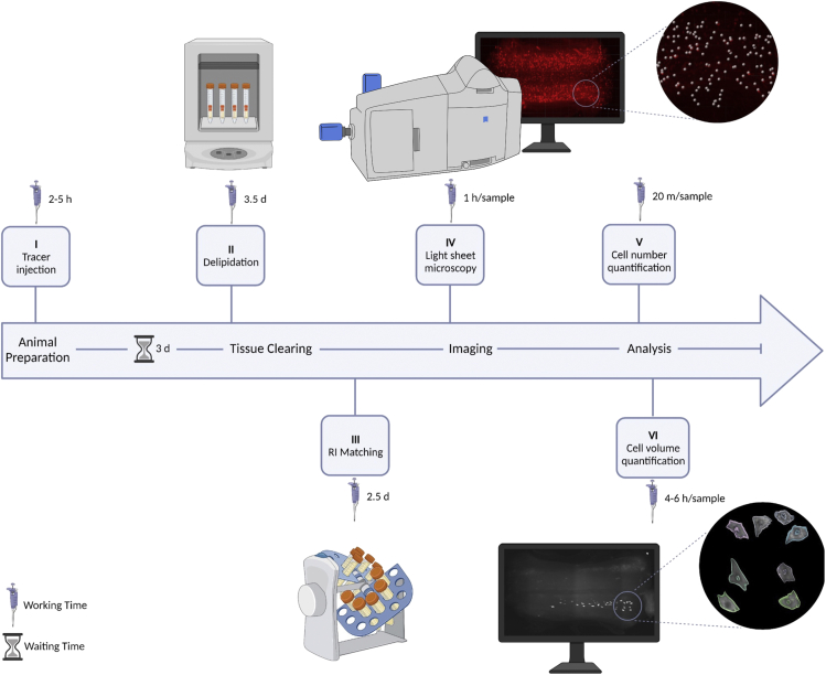 Figure 1