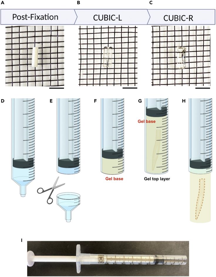 Figure 4