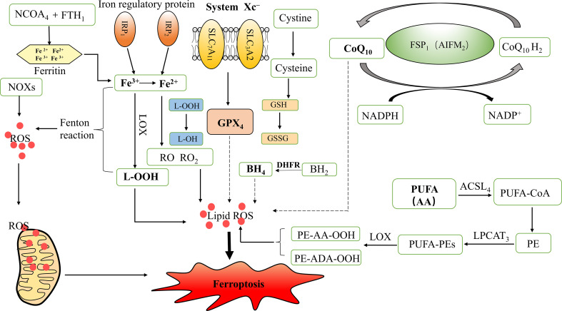 Figure 1