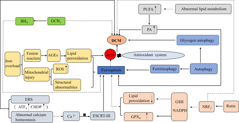 Figure 3