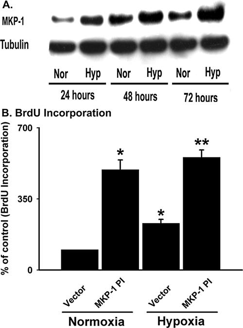 Figure 10.