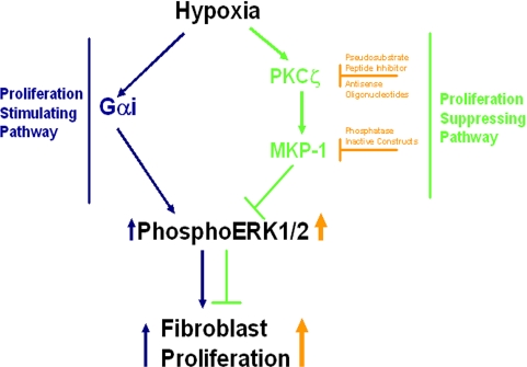 Figure 13.