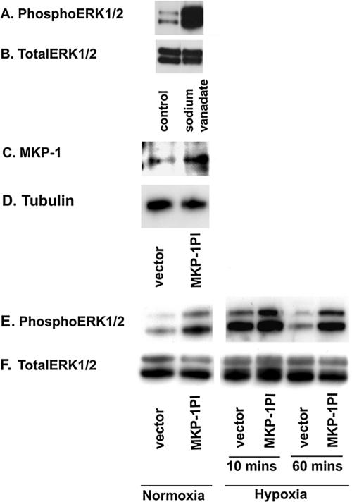 Figure 9.