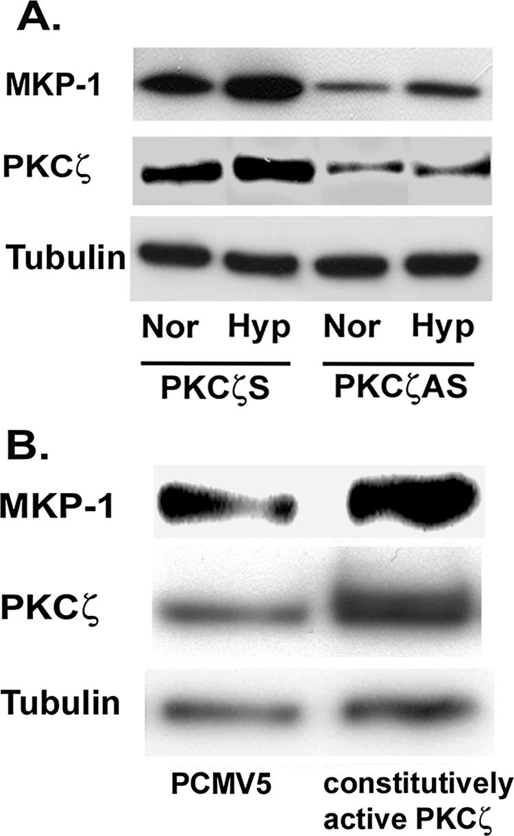 Figure 11.