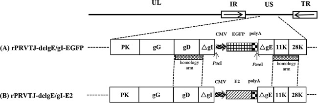 FIG 1