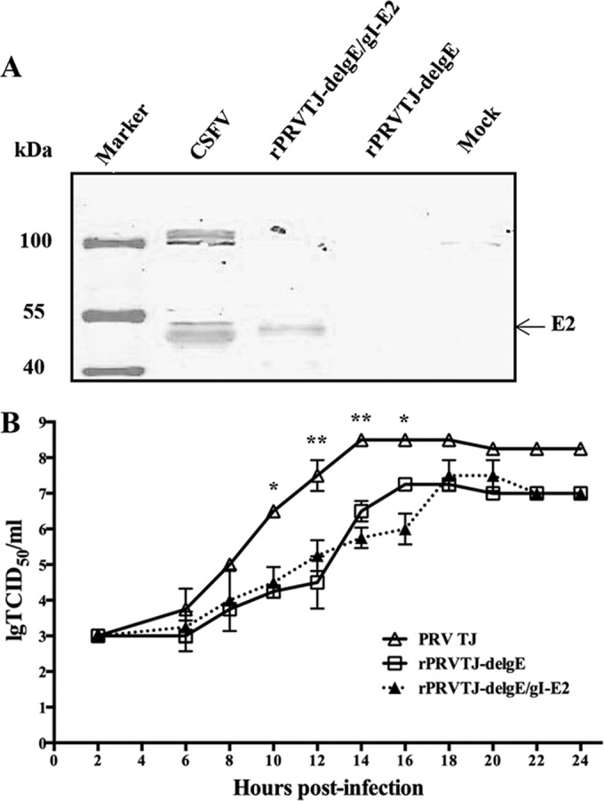 FIG 3