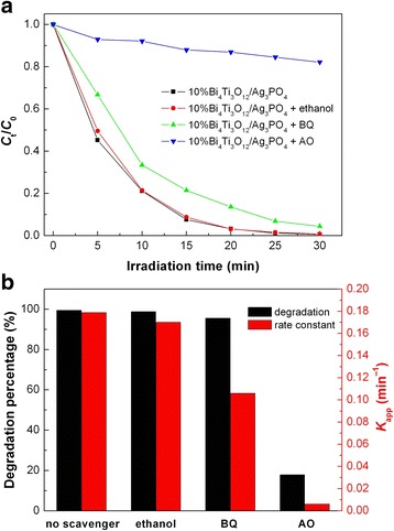 Fig. 10