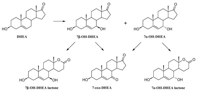 Scheme 4