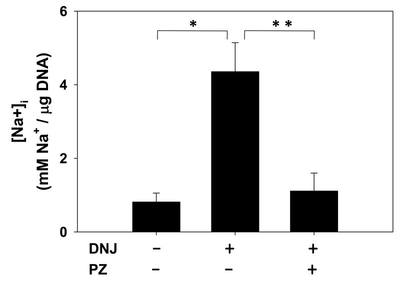 Fig. 5