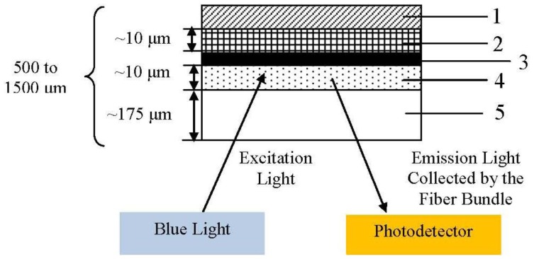 Figure 9.