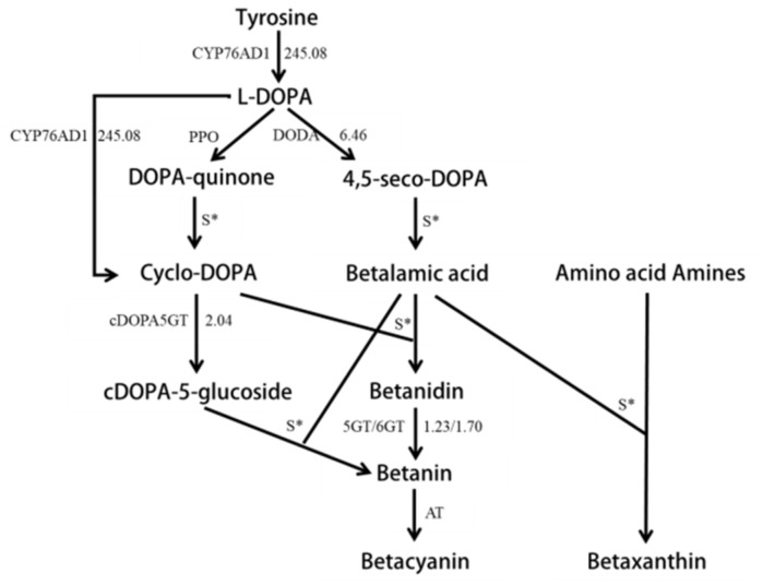 Figure 4