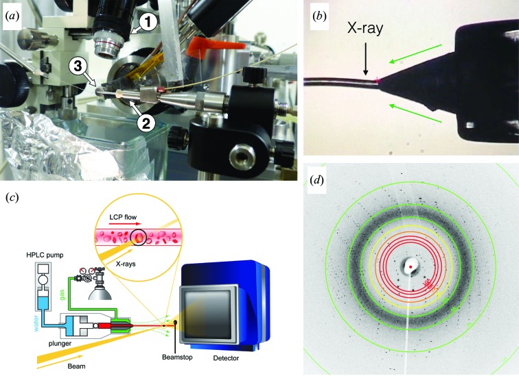 Figure 2