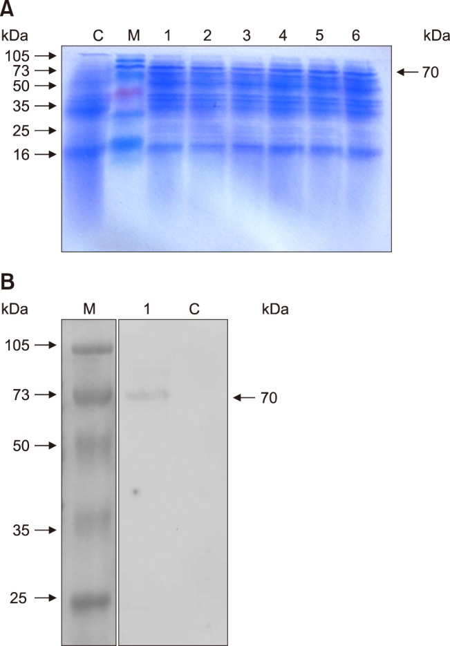 Fig. 5