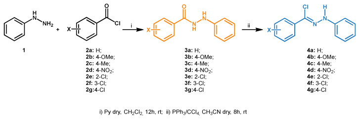 Scheme 2