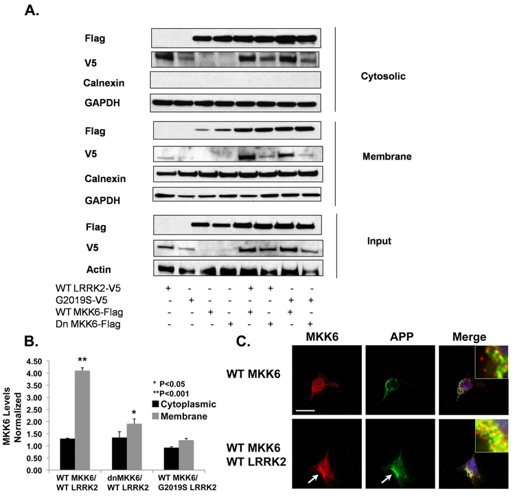 Fig. 4