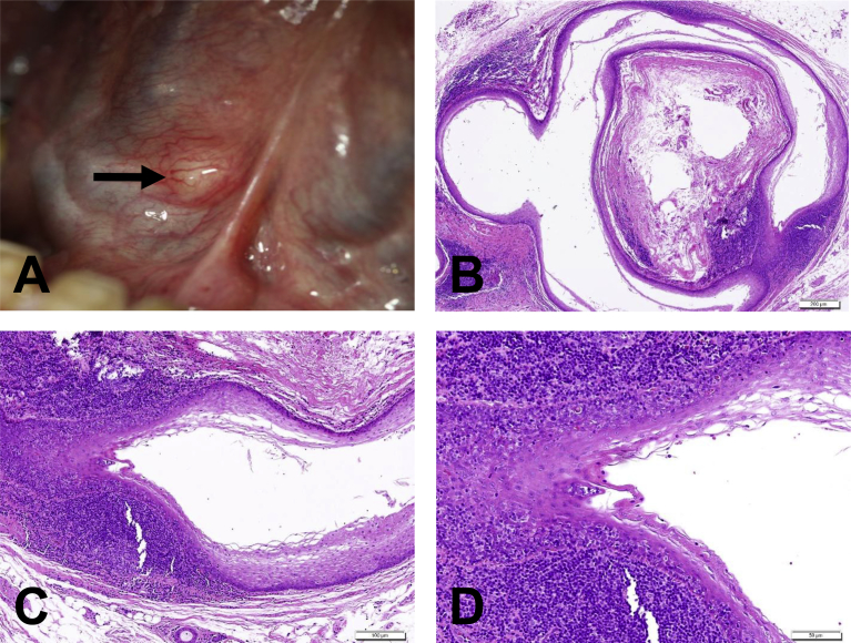 Figure 1