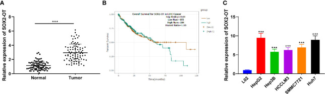 Figure 1