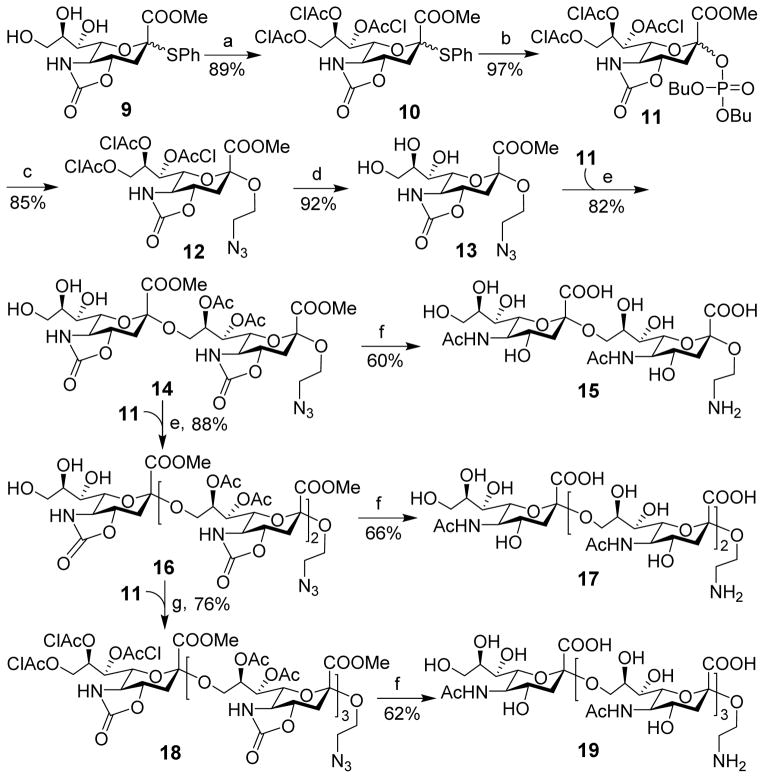 Scheme 1