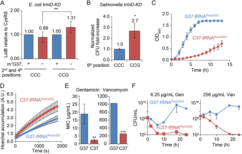 Figure 6: