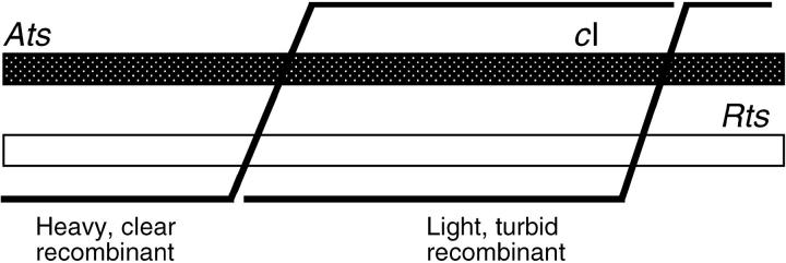 Figure 3.—