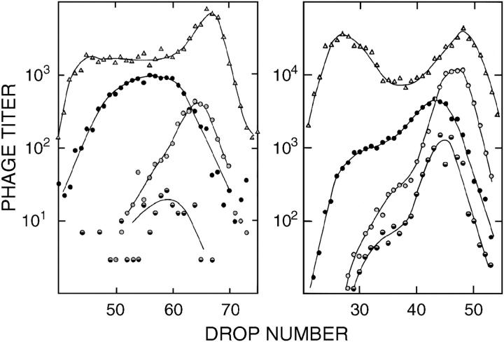 Figure 5.—