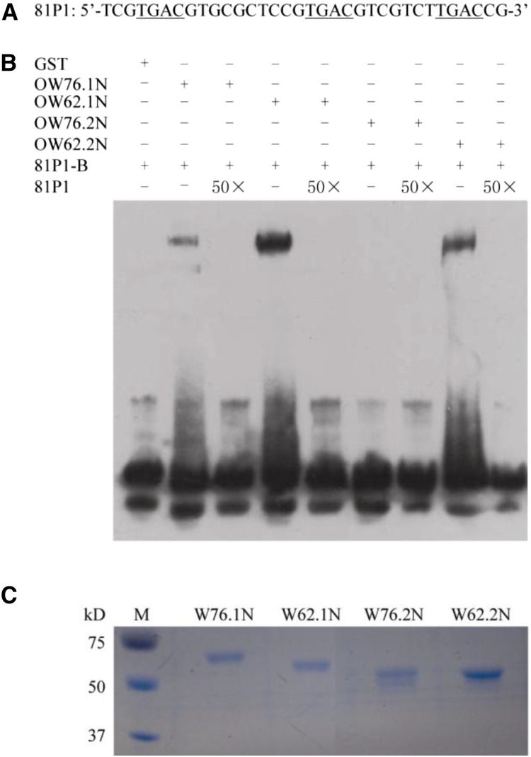 Figure 10.