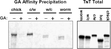 Fig 3.