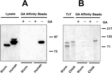 Fig 1.