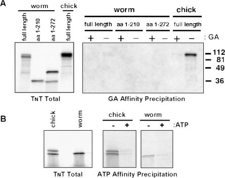 Fig 4.