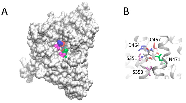 Figure 11