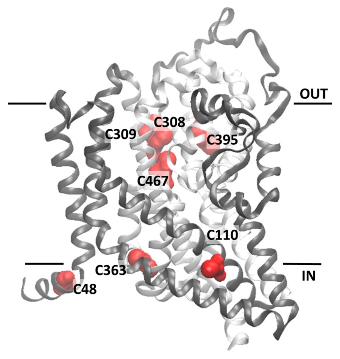 Figure 5