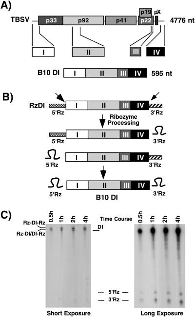 FIG. 1
