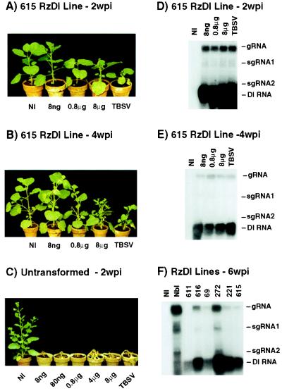 FIG. 4